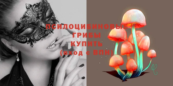 экстази Заводоуковск